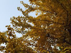 -中国石油大学（北京）(北京西校区)
