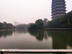 -听松楼-中餐厅.家宴(红梅公园店)