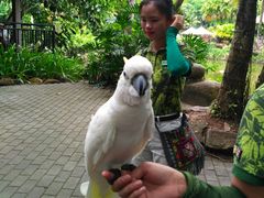 -呀诺达热带雨林