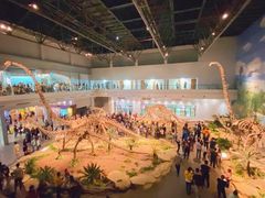 -自贡恐龙博物馆