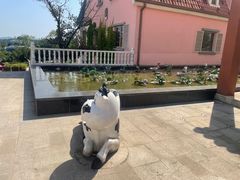 -大塘金香草谷
