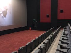 -红星电影世界上海张江绿地店