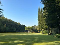 -深圳仙湖植物园
