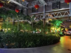 -南宫五洲植物乐园