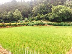 -韶山毛泽东同志故居