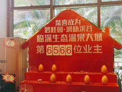 -碧桂园润杨溪谷温泉酒店