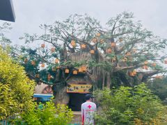 -苏州湾梦幻水世界