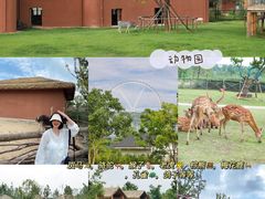 -祥源·阜阳生态乐园