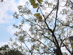 -映月湖公园