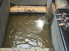 -三二行館(限16歲以上貴賓入館)
