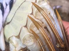 -乡乐园蟹庄·阳澄湖农家乐