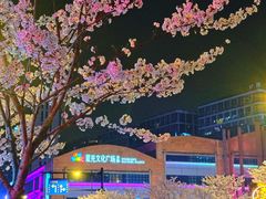 -新天地活力PARK