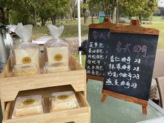 -苏州金鸡湖大酒店