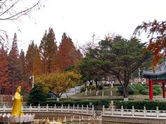 -湛山寺