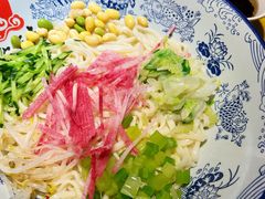 -大海碗·炸酱面·烤鸭·京菜(天坛店)