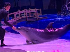 -华夏文旅海洋公园