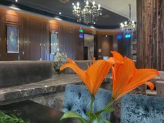 -澳莱酷品牛扒(开平东汇城店)