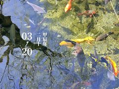 -趵突泉景区