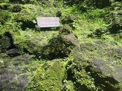 -海口火山口国家地质公园
