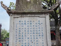 -鲁镇