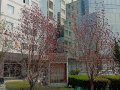 -西门子中国有限公司(阜通东大街店)