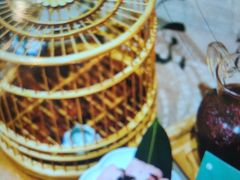 -了凡国风主题茶馆·咖啡(武侯祠锦里店)