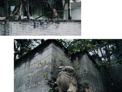 -南山植物园