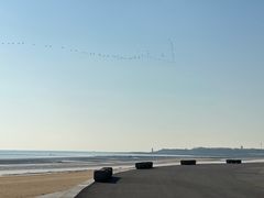 -日照海滨国家森林公园