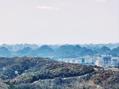 -贵州百里杜鹃风景名胜区