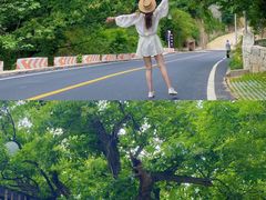 -沂蒙山旅游区云蒙景区(蒙山国家森林公园)