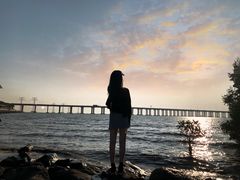 -宝安西湾红树林湿地公园