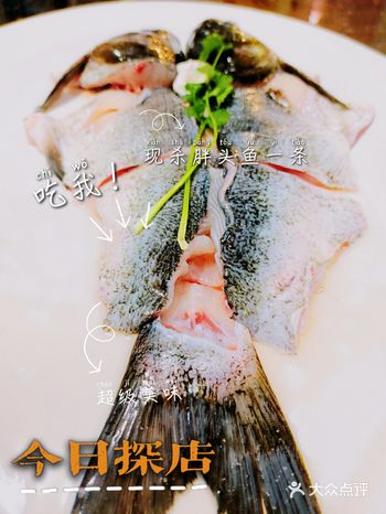 不是所有鱼火锅都是从四川雅安来的