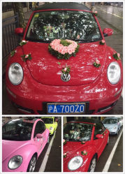 宠你一生甲壳虫婚车队-畅步婚车(浦东店)