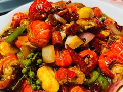 -杨氏青龙虾·羊蝎子(托乐嘉店)