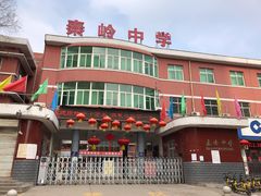 -秦岭中学