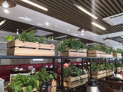 大堂-八合里潮汕鲜牛肉火锅(深圳海岸城店)