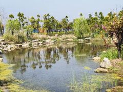 -春花秋色城市公园