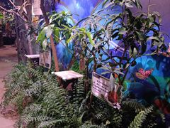 -正佳雨林生态植物园