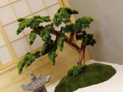 -姜美堂·蒸姜除湿の纤体美颜馆
