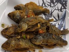 -天鹰观渔(梦园店)