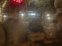 -张家港金凤凰度假村温泉