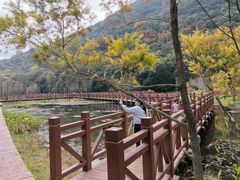 景点-广州市石门国家森林公园