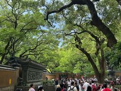 -普陀山风景名胜区-法雨禅寺