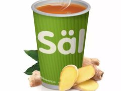 姜茶-Salud撒露欧洲冻酸奶(798艺术区店)