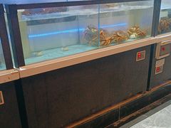 -同庆楼(滨湖万达广场店)