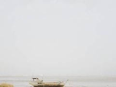 -北岐滩涂