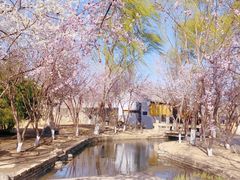 -三里河公园