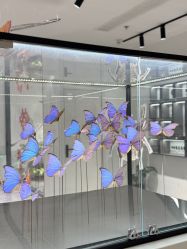 -酷嗒动物文化乐园(cutezoo西溪乐天城店)