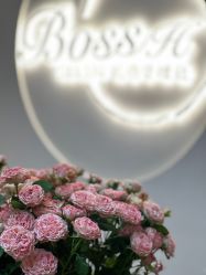 -Boss H Beauty美肌中心