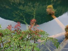 -九寨沟-树正沟